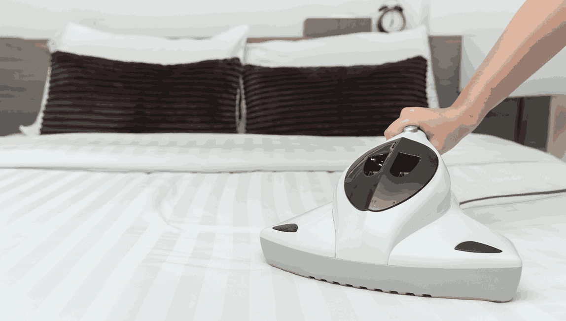 Professional Mattress Cleaning Hamlyn Heights